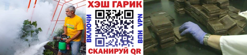ГАШ ice o lator  Купить где  Полысаево 