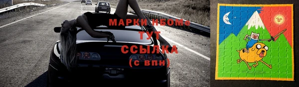 трава Гусиноозёрск