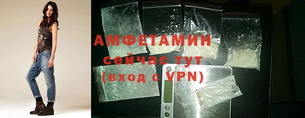 трава Гусиноозёрск