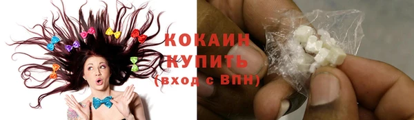 трава Гусиноозёрск