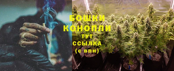 трава Гусиноозёрск