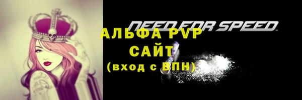 ешки Гусев