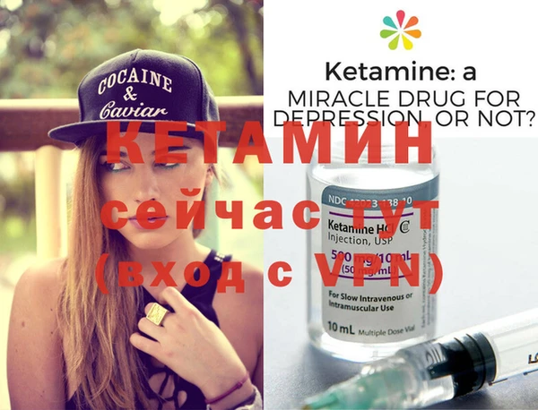 трава Гусиноозёрск
