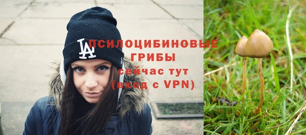 PSILOCYBIN Гусь-Хрустальный